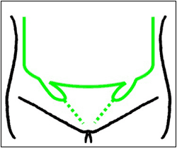 図7