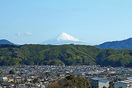 緩和ケア病棟からの景色