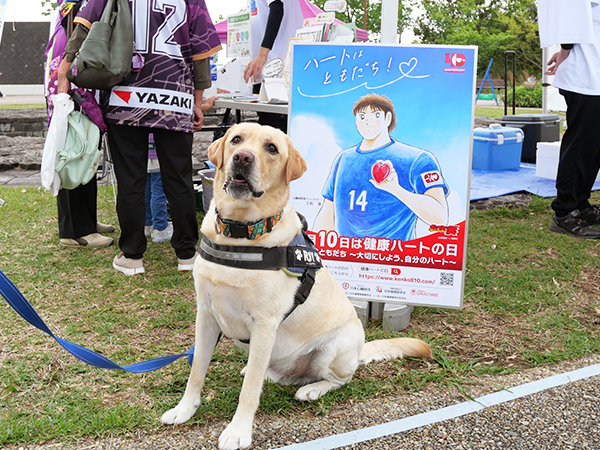 健康ハートの日イベント風景