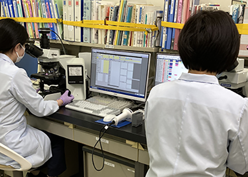 血液形態検査の様子
