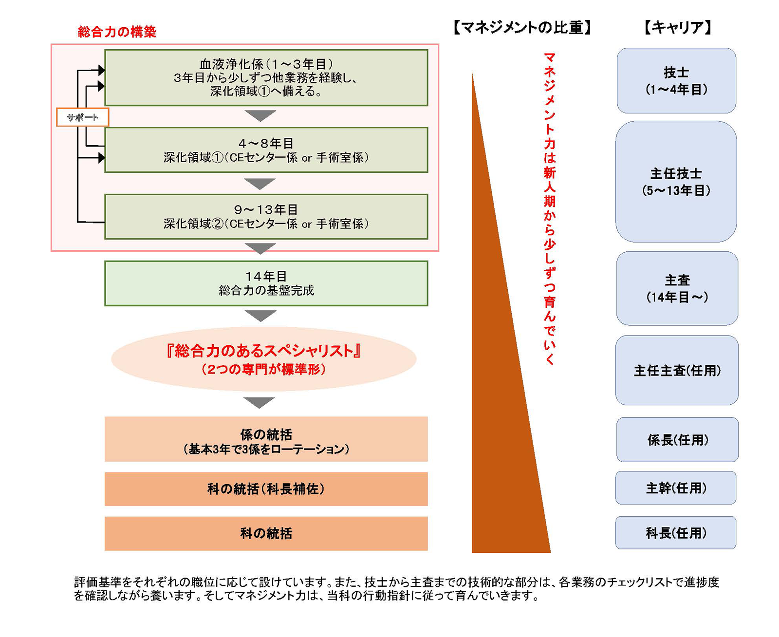 総合力のあるスペシャリストへ―臨床工学科のキャリアパス