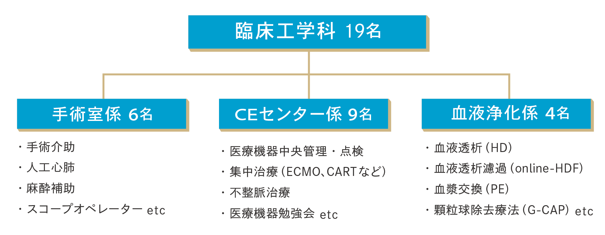 スタッフ構成