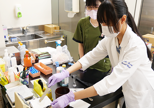 高校生の薬剤部見学&体験
