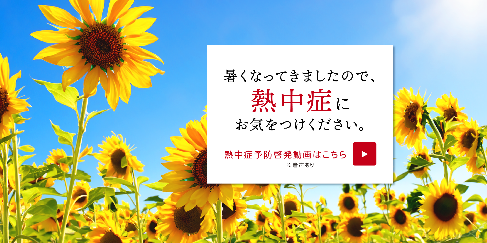 熱中症啓発動画の案内