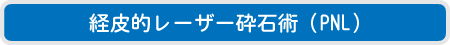 経皮的レーザー砕石術